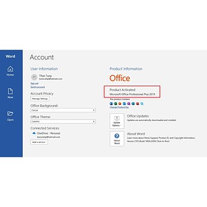 Microsoft Office 2019 Professional Plus Product Key - Bind