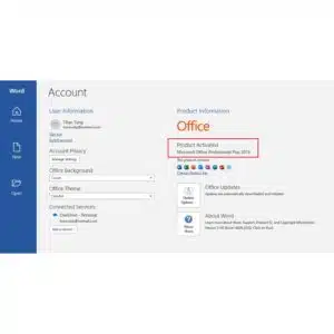 Microsoft Office 2019 Professional Plus Product Key - Bind