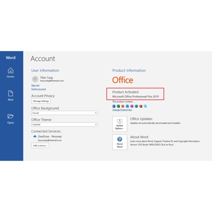 Microsoft Office 2019 Professional Plus Product Key - Bind