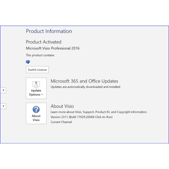 Microsoft Visio 2016 Professional Product Key 32/64-bit