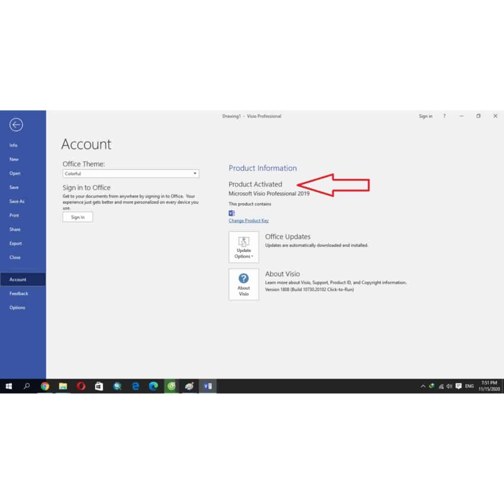 Microsoft Visio 2019 Professional Product Key - Bind