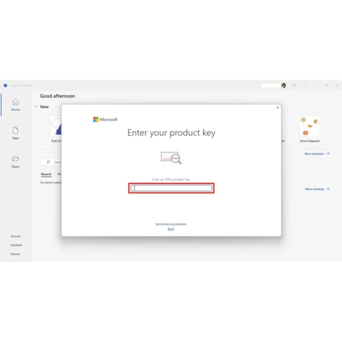 Microsoft Visio 2021 Professional Product Key - Retail