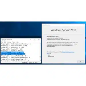 Microsoft Windows Server 2019 Standard License Key