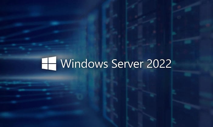 Windows Server 2022 Remote Desktop Services 50 User CALs License