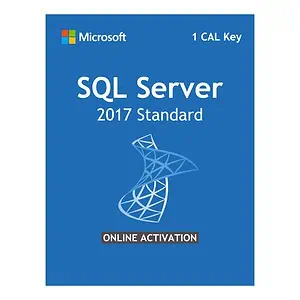 Microsoft SQL Server 2017 Standard Edition License 1 CAL