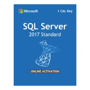 Microsoft SQL Server 2017 Standard Edition License 1 CAL