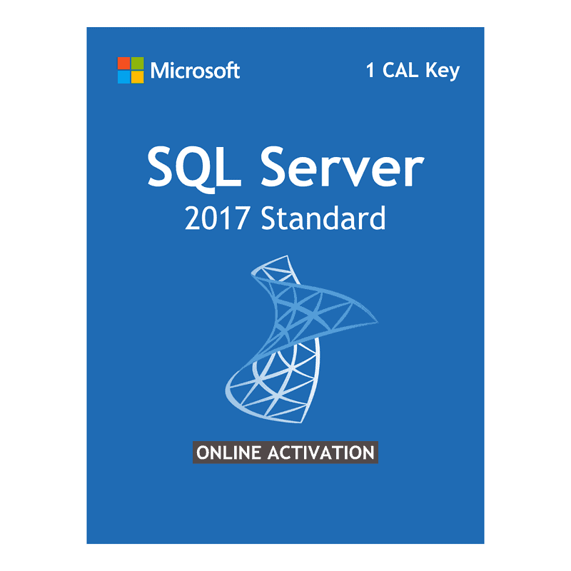 Microsoft SQL Server 2017 Standard Edition License 1 CAL