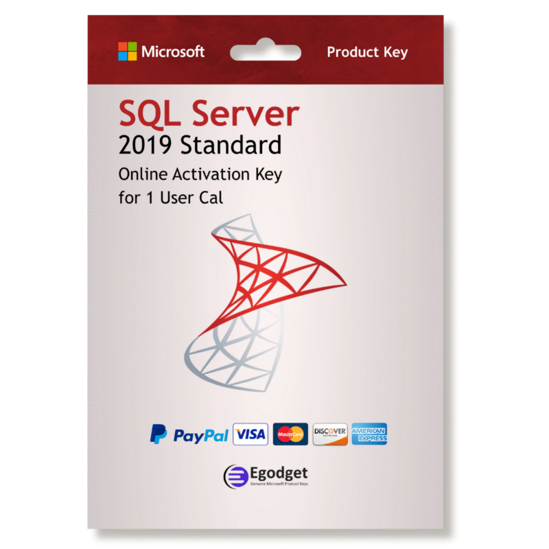Microsoft SQL Server 2019 Standard Edition - 1 CAL License