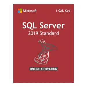 Microsoft SQL Server 2019 Standard Edition License 1 CAL