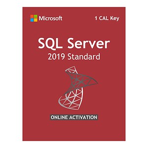 Microsoft SQL Server 2019 Standard Edition License 1 CAL