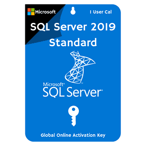 SQL Server 2019 Standard Key for 1user CAL