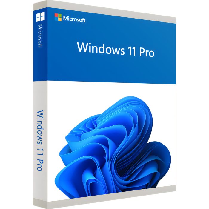 Microsoft Windows 11 Professional 32/64-bit OEM Product Key