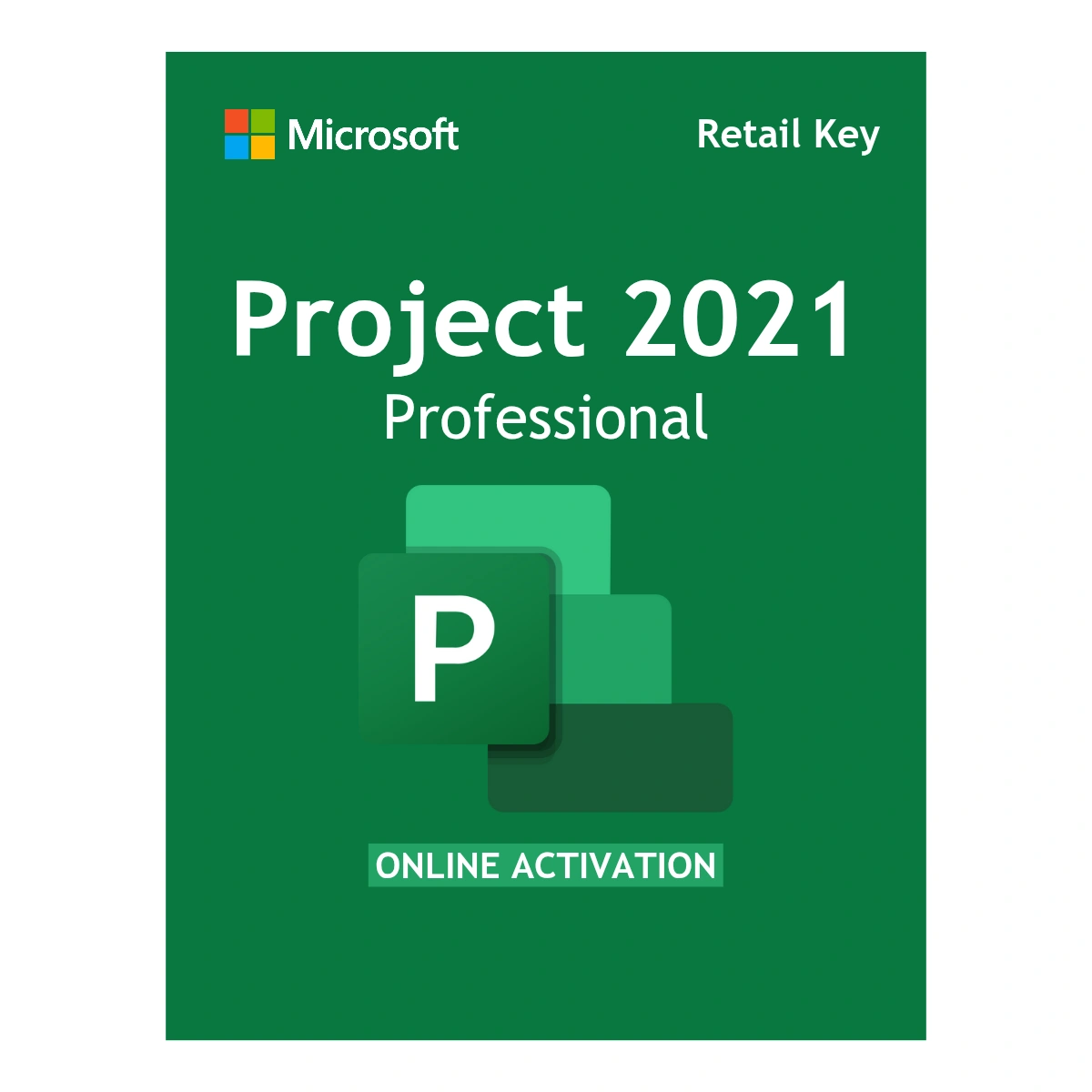 Microsoft Project 2021 Professional