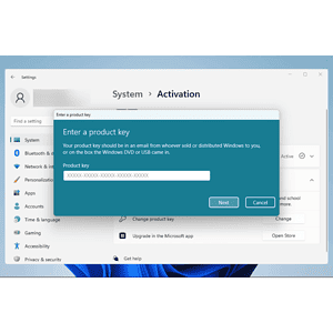 Microsoft Windows 11 Home OEM Key Global Online Activation