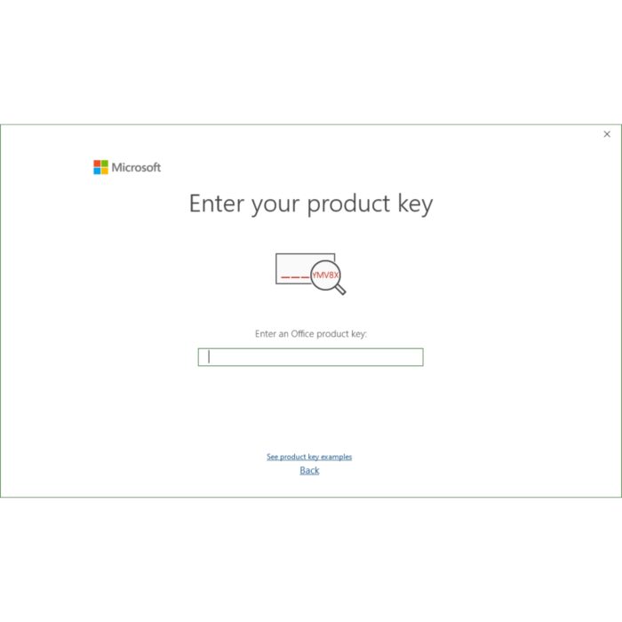 Microsoft Project Professional 2021 Activation Key for 1PC