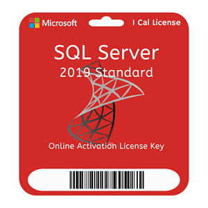 Microsoft SQL Server 2019 Standard Edition License