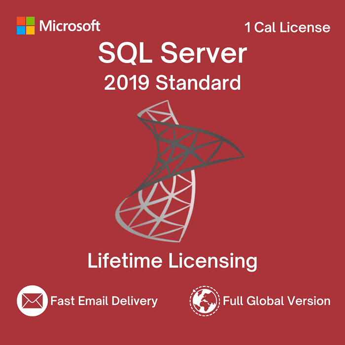 Microsoft SQL Server 2019 Standard 1 License CAL