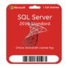 Microsoft SQL Server 2019 Standard Edition 1 CAL License