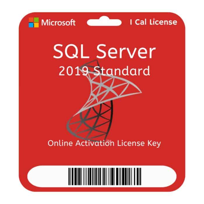 Microsoft SQL Server 2019 Standard Edition 1 CAL License