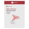 Microsoft SQL Server 2019 Standard Edition 1 CAL License