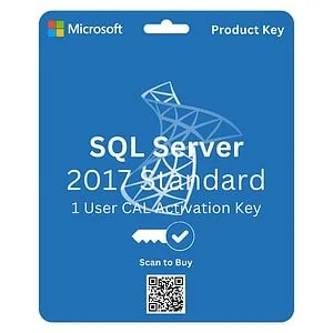 Microsoft SQL Server 2017 Standard 1 License CAL for efficient database management and business intelligence