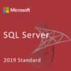 Microsoft SQL Server 2019 Standard Edition 1 CAL License