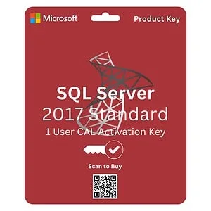 Microsoft SQL Server 2019 Standard Edition 1 CAL License for robust database management and analytics.