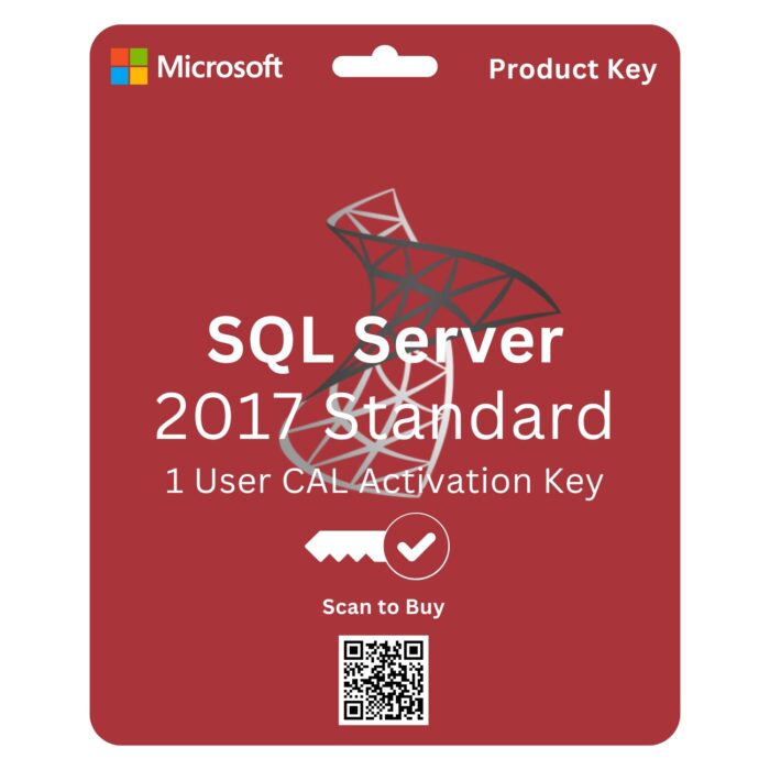 Microsoft SQL Server 2019 Standard Edition 1 CAL License for robust database management and analytics.