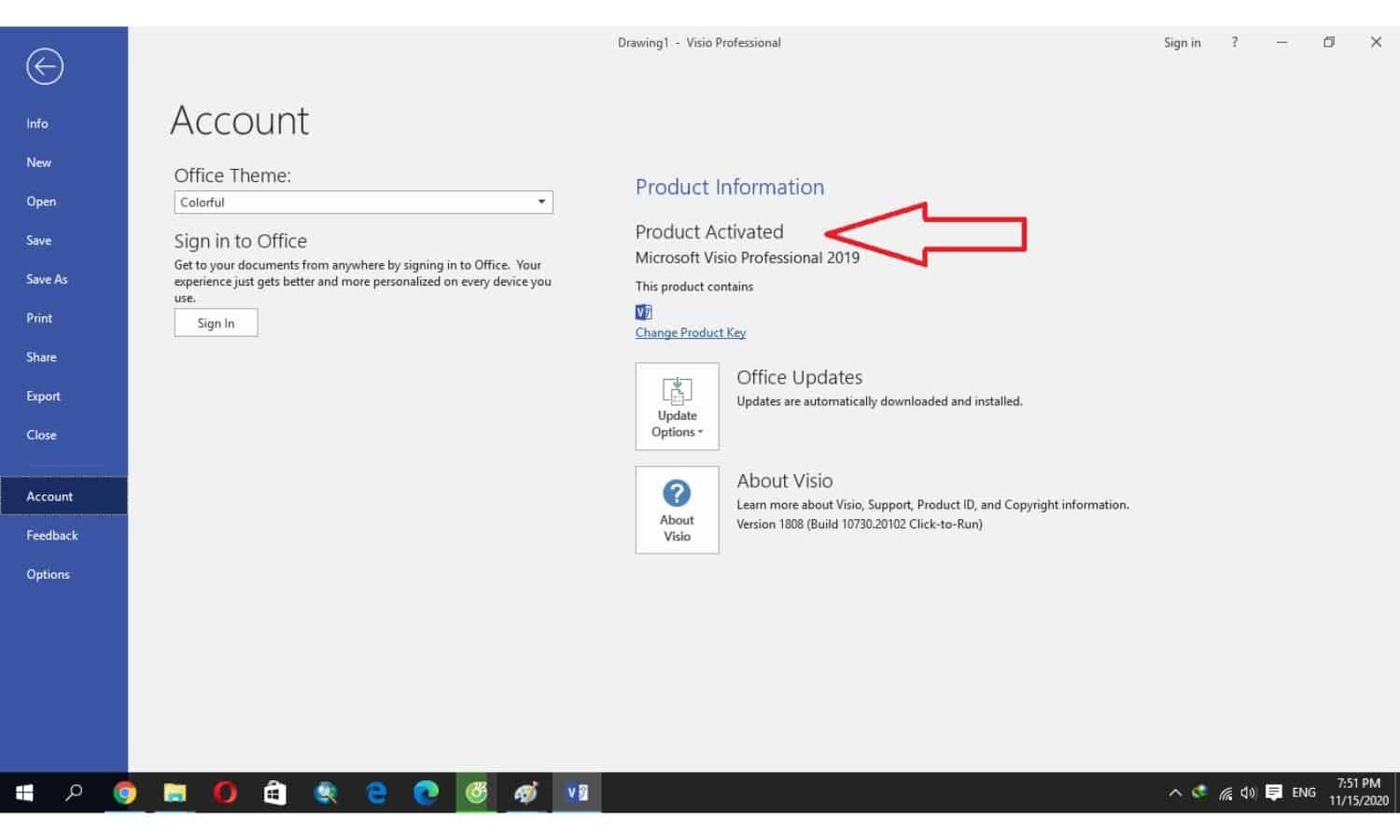 Microsoft Visio 2019 Professional Product Key - Bind